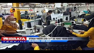 DITENGAH PANDEMI COVID 19 PT BBS REKRUT RIBUAN BURUH