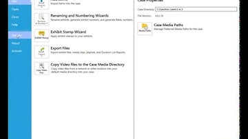 How to Enable Time Stamps for Synchronized Transcripts