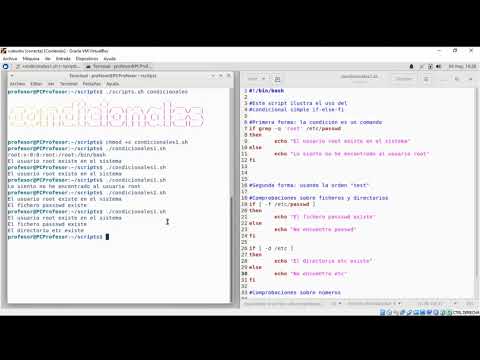 Bash scripting: Condicional if - YouTube