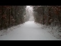 Snow hits Texas County