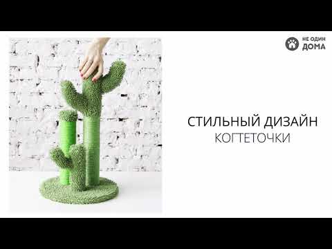 Когтеточка для кошек, "Не Один Дома" Оазис, зеленый