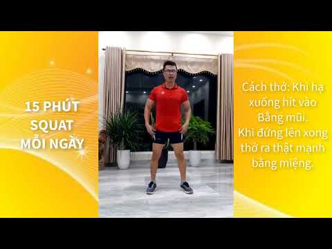 Video Hướng dẫn 15 phút squat mỗi ngày chuẩn nhất | SỐNG... - youtube