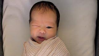 Sam Hui: Parent's Grace (許冠傑: 父母恩)