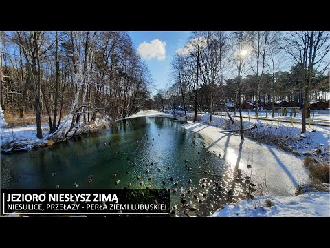 Wideo: Bezzałogowe statki powietrzne. Charakterystyka drona