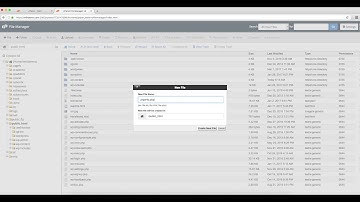 cPanel - Create a PHP Info file