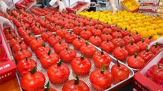 WOW! Amazing apple bread mass production process (apple, orange etc.) / Korean street food