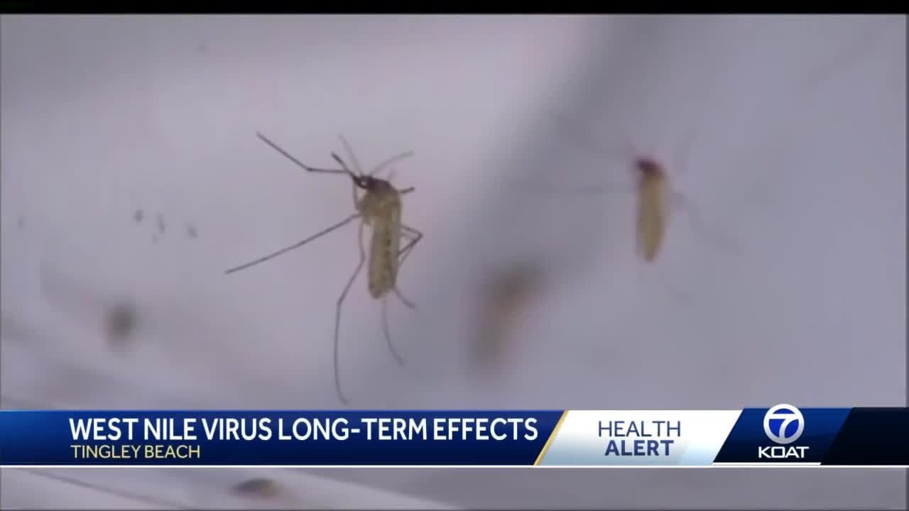West Nile Virus Brings Long Term Side Effects Youtube