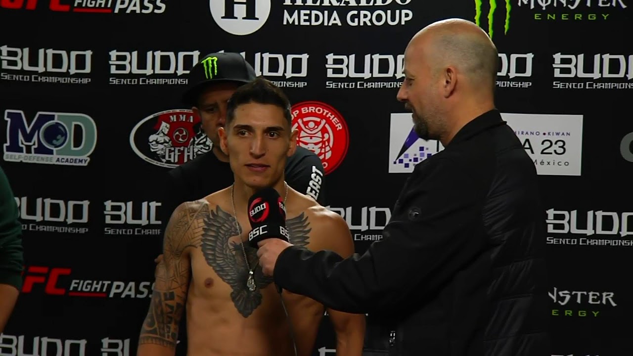 Careo y Rueda de Prensa Budo Sento Championship Vol. 33