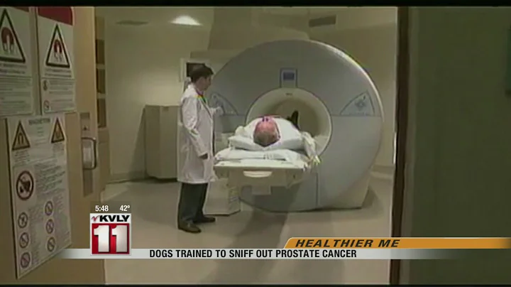 Dogs Trained To Sniff Out Prostate Cancer