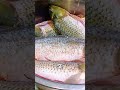 El pez más odiado de Estados Unidos #youtube #funny #funnycooking #fyp #food