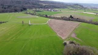 Turm an der Birke