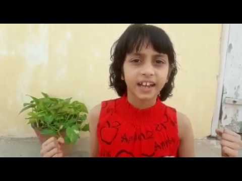 Paridhi dilip trivedi  (Y160) | Aadi Yoga Kids Contest | Senior Kid category (7-15 years)