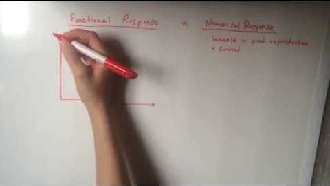 Functional and Numerical response