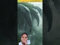 अमेजन जंगल रहस्य#new #comedy 🤭🫵#funny #whowillbemylifepartnerta #video 🤭