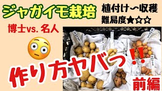 前編【楽ちんすぎて罪悪感を感じるレベル