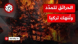 حرائق الغابات تمتد في عدة ولايات تركية والسلطات تُجلي سكان 7 قرى في ظل صعوبات للسيطرة عليها