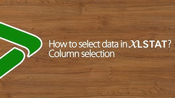 How to select data in XLSTAT? Column selection