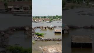 Flood Plains Explained #explained #didyouknow #interesting #facts #amazing #education #geography
