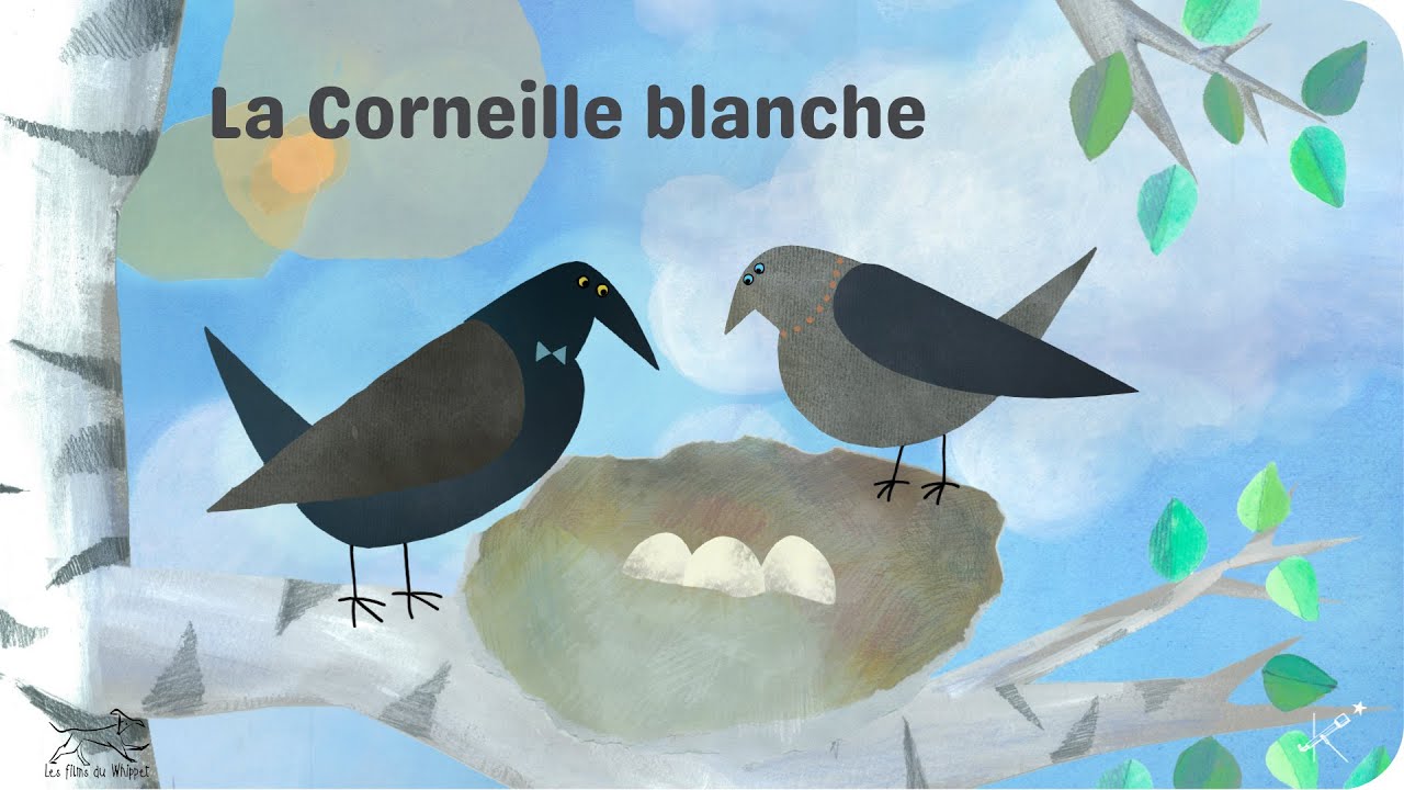 La Corneille blanche - Extraits - Tikino