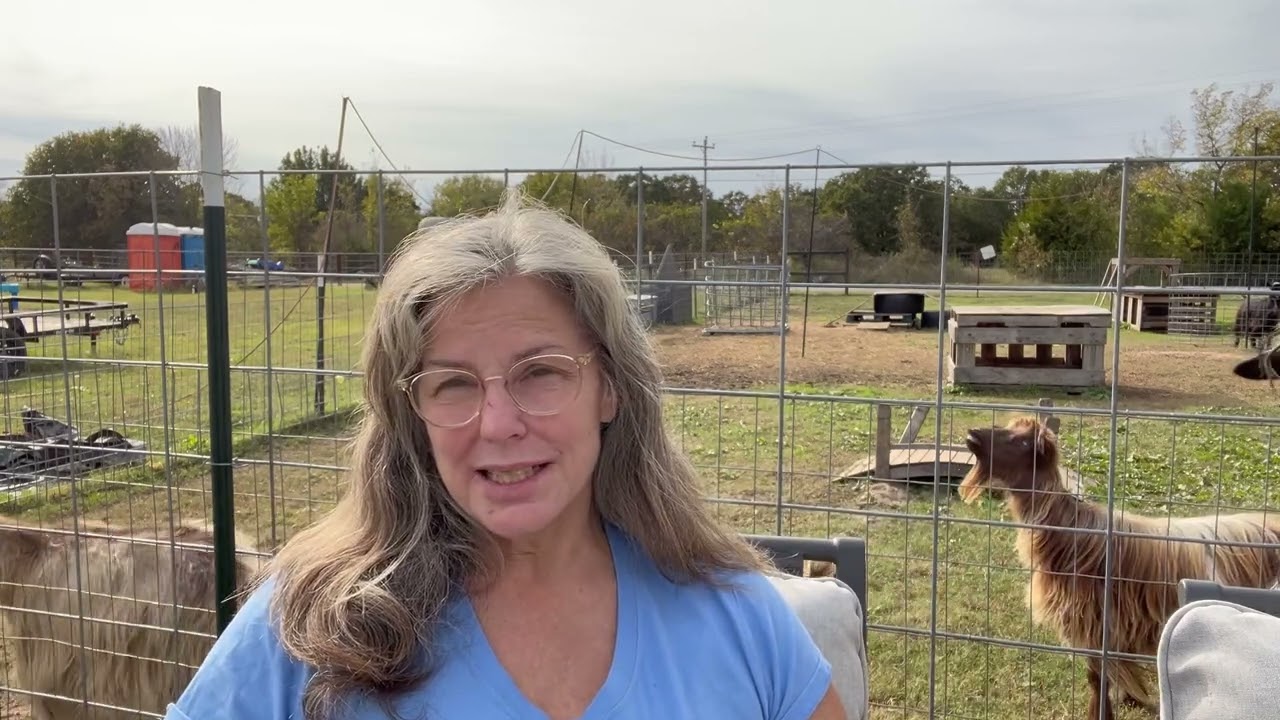 October Baby Goats are here 🍁🐐