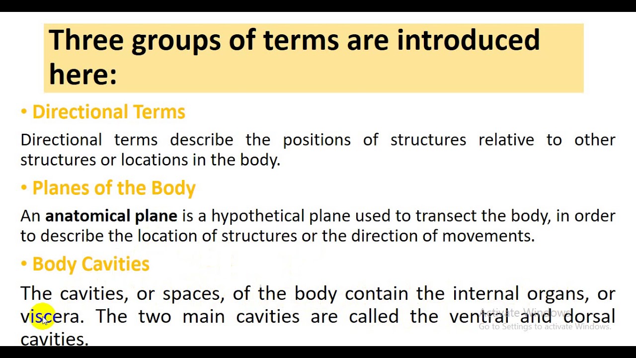 محاضرة تشريح الوجه والعنق والعين 1 - 2021