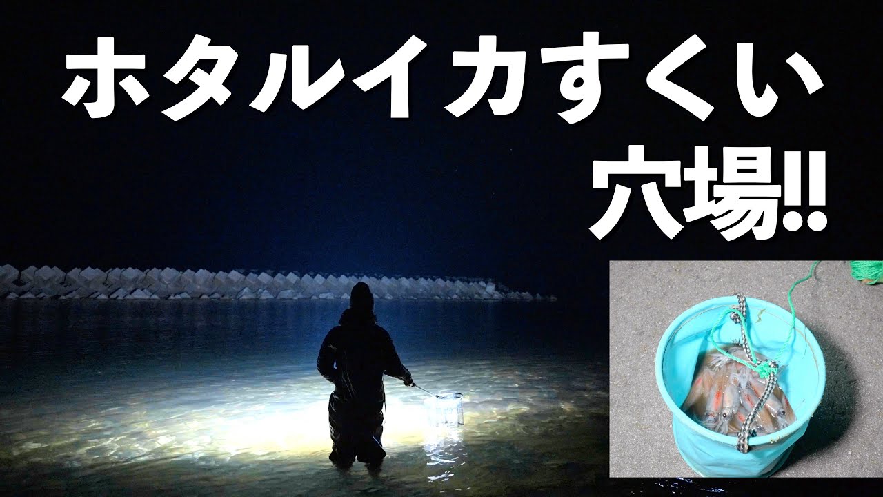 【2023】穴場スポットで大漁!!海無し県民の遠征ホタルイカすくい漁!!｜ホタルイカすくい｜ホタルイカ採り｜ドライブ｜田舎暮らし｜富山県｜4K