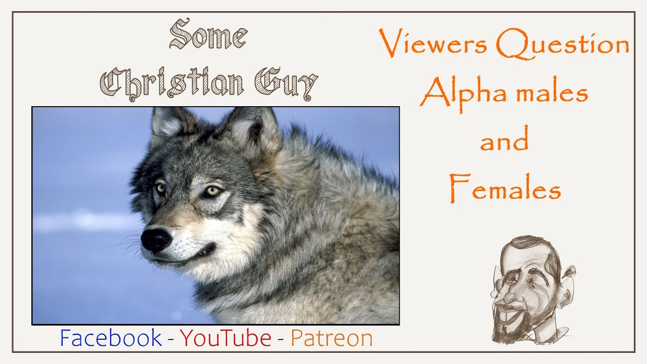 Alpha Males and Females - What's their personality profile. - YouTube