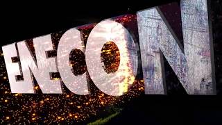 ENECON High Performance Polymers