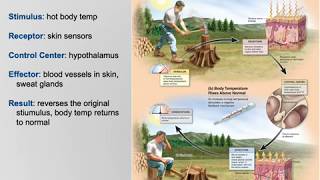 Celebrity Annotated Introductory 5 Wealth