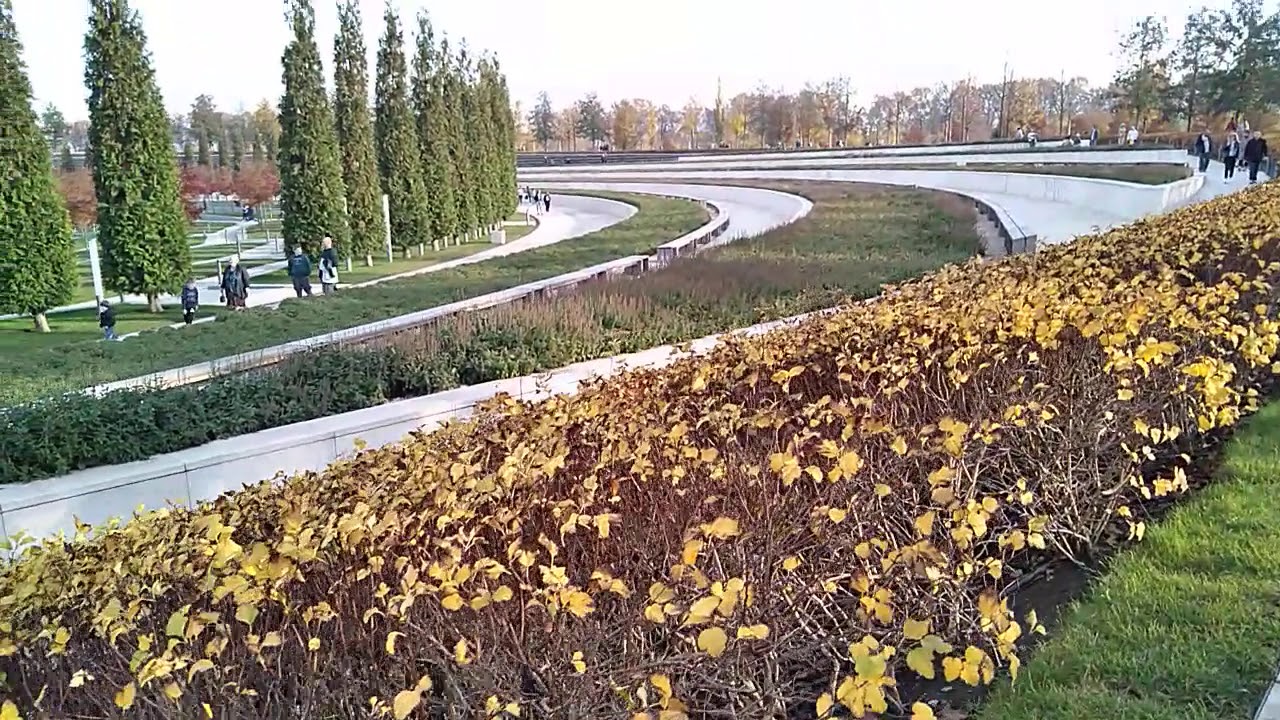 Калина парк краснодар дольщики