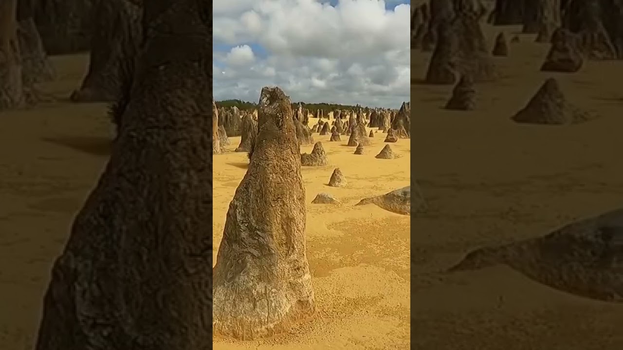 Pinnacles Desert | Nambung National Park, Western Australia