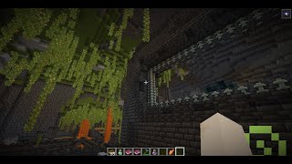 2 Ancient city lush cave mineshaft