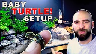BABY TURTLE AQUARIUM SETUP || STEP BY STEP || MD FISH TANKS