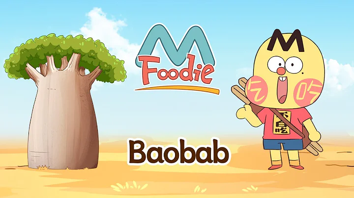 🌴Baobab: Africa’s “Magic Tree” That Feeds, Shelters & Hydrates! | MFoodie