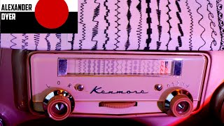 Watch As I Sew Every Stitch on the Lady Kenmore