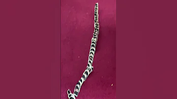 تحدي اوراق اونو 
