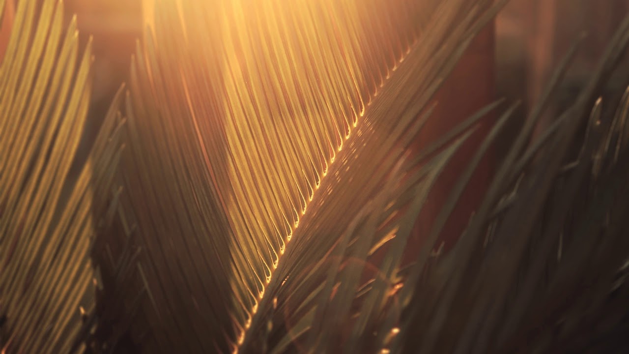 Watch Kamilo Sanclemente: Antlia (Original Mix) on YouTube