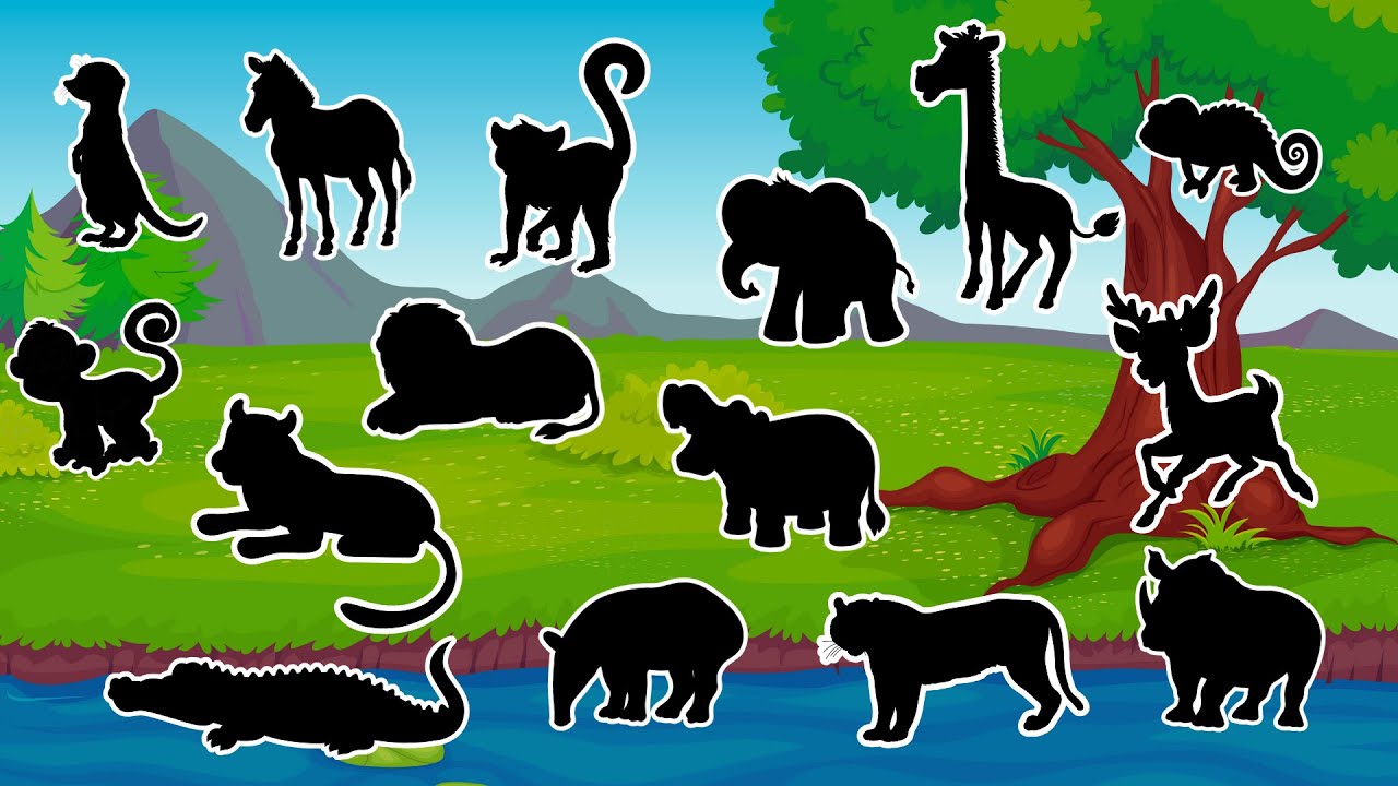 Que Animal É Esse? Descubra Pelas Sombras! 🐾 | Vídeo Educativo Infantil