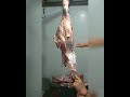 Bonning rump and buttock desposte Cuadril y  nalga