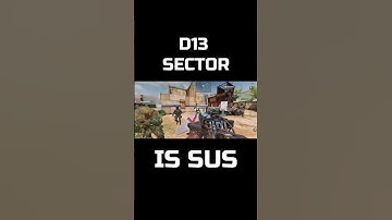 D13 Sector is Sus || COD Mobile