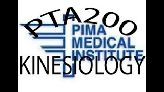PTA200 - Kinesiology - Review Of Intro To Kinesiology I - Lecture 2
