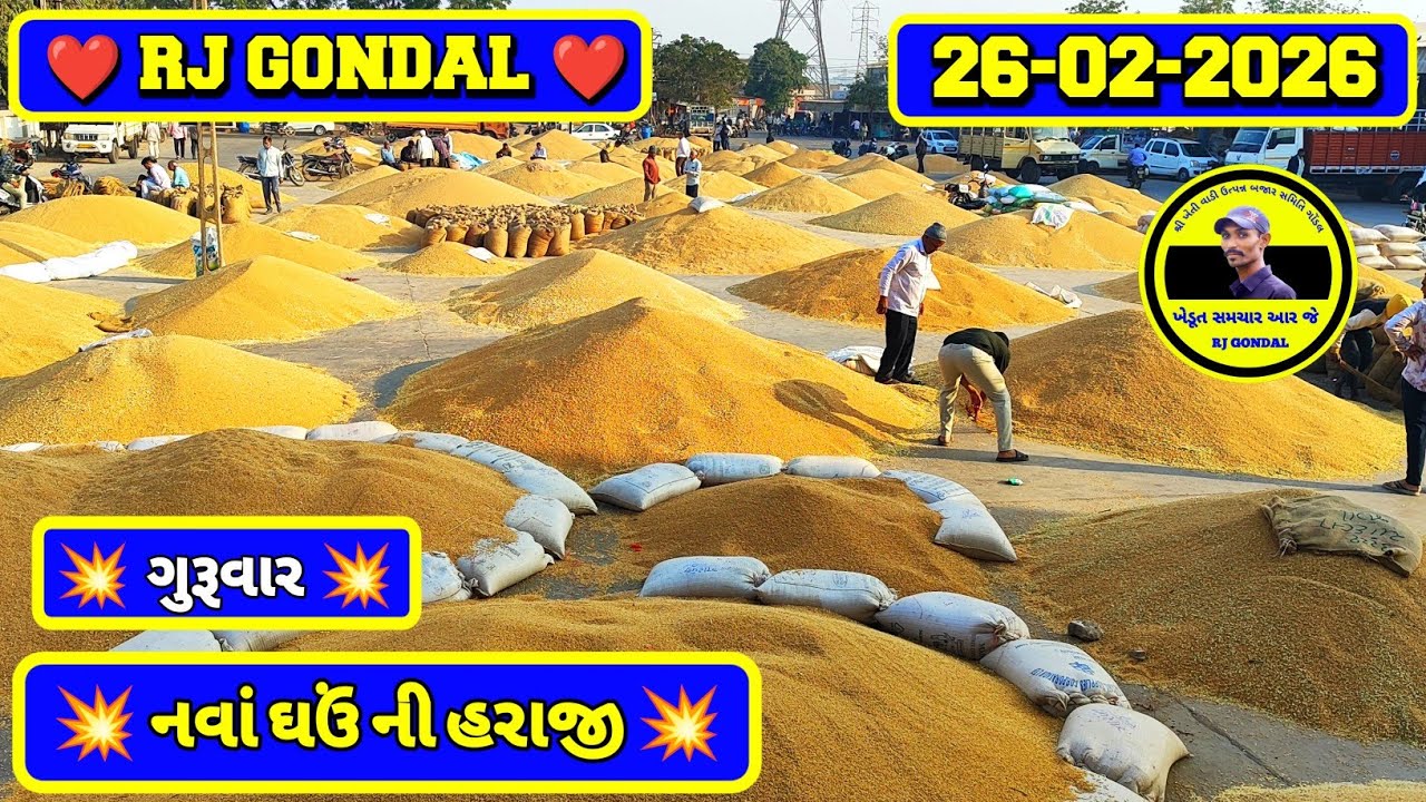 નવા ઘઉં ના ભાવ | 26-02-2026 | ગોંડલ નવા ઘઉંના ભાવ | Wheat Market Price | RJ Gondal Marketing Yard 