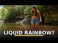 Caño Cristales: Colombia's River of Five Colors (Full Guide)