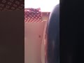#눈물을 감추고 #전통트로트 #쭌