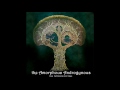 Amorphous androgynous  the peppermint tree and seeds of superconsciousness full album