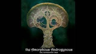 Amorphous Androgynous - The Peppermint Tree and Seeds of Superconsciousness (Full Album)