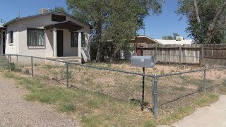 Albuquerque man cited for overgrown weeds claims the city is being unfair