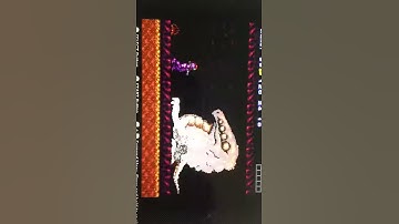 Weird Metroid glitch (Super Metroid)