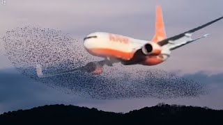 Jeju Air Crash: NEW DETAILS and Video Footage