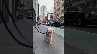 IMG 4160